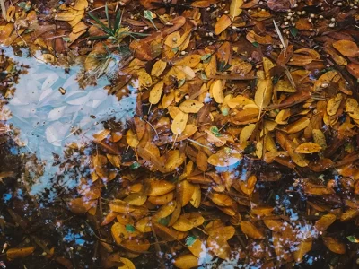 pond-dredging-how-to-prevent