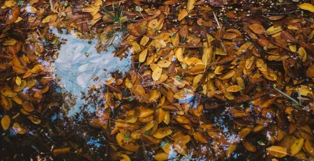 pond-dredging-how-to-prevent