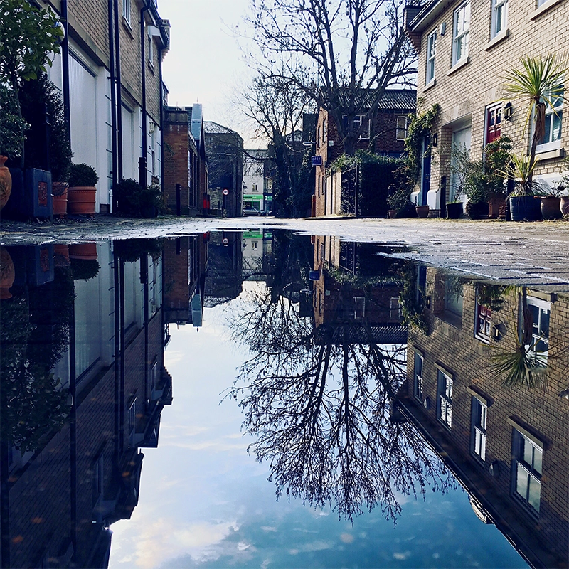 Remove-Standing-Water